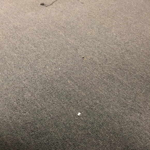 Meet your Posher, Matt - Picture 1 of 1